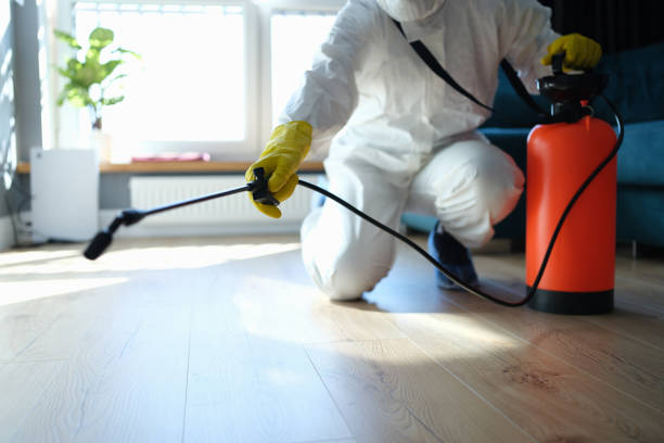 Best Flea Control Services  in Lacoochee, FL