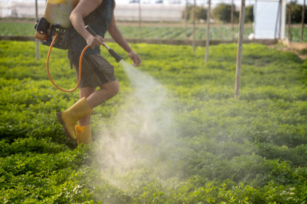 Best Pest Control Near Me in Lacoochee, FL