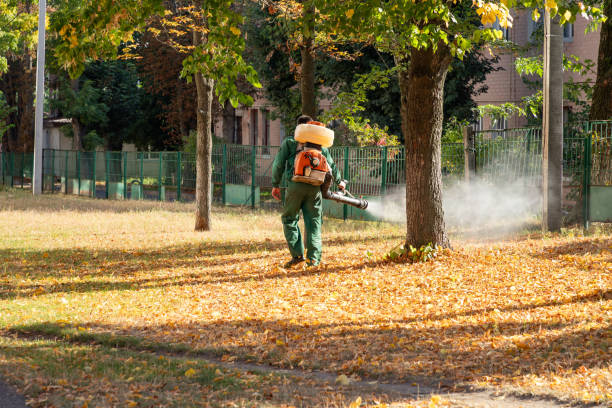 Best Cockroach Control Services  in Lacoochee, FL