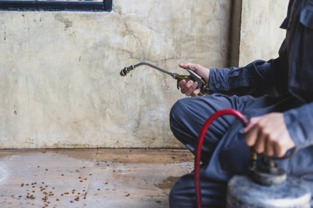 Best Termite Control Services  in Lacoochee, FL